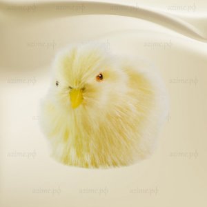 Цыплёнок малый (120*130)