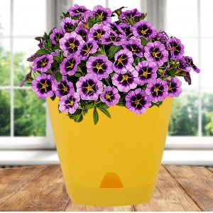 Горшок цв. ПМ ING6199СГ Amsterdam 1.35л спелая груша (10)