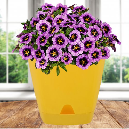 Горшок цв. ПМ ING6199СГ Amsterdam 1.35л спелая груша (10)