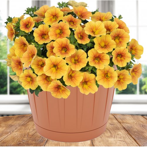 Горшок д/цветов ПМ М8246 Дионис коричневый 2.6л (22)