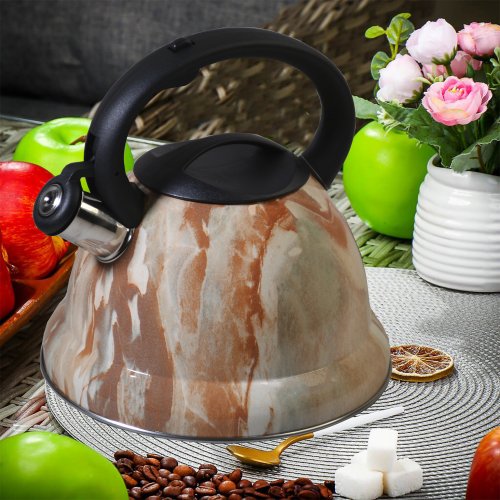 Чайник со СВ AZ2025-396  RE-0088  3.2л (12)