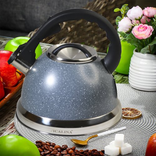 Чайник со СВ AZ2025-397  RE-2011  3.5л (12)