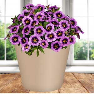 Горшок 221600127/01Rosemary  4,0л  D200 мм, бежевый с дренажной вставкой (12)