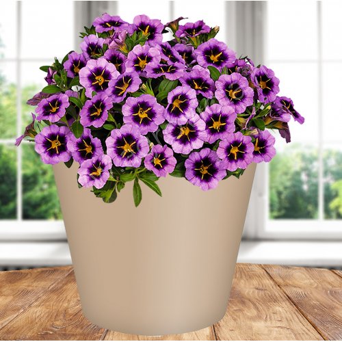 Горшок 221600127/01Rosemary  4,0л  D200 мм, бежевый с дренажной вставкой (12)
