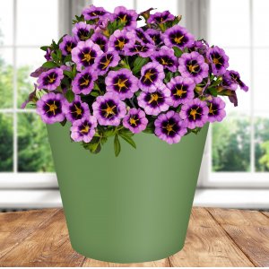 Горшок 221600118/01 Rosemary  4,0л  D200 мм, зеленый с дренажной вставкой (12)