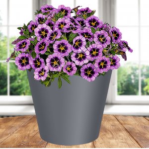 Горшок 221600135/01 Rosemary  4,0л  D200 мм, серый с дренажной вставкой (12)