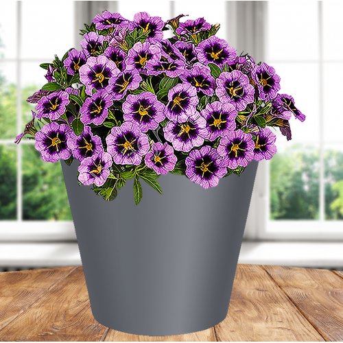 Горшок 221600135/01 Rosemary  4,0л  D200 мм, серый с дренажной вставкой (12)