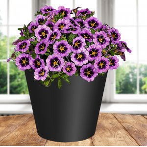Горшок 221600130/01 Rosemary  4,0л  D200 мм, черный  дренажной вставкой (12)