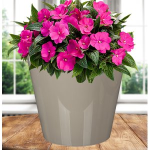 Горшок 221605927/01 Rosemary  5,0л  D230 мм, бежевый с дренажной вставкой (15)