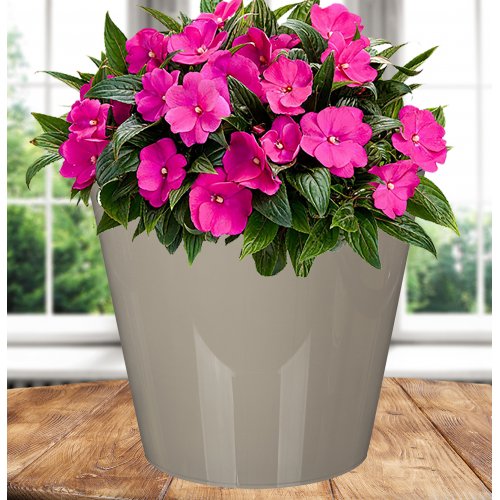 Горшок 221605927/01 Rosemary  5,0л  D230 мм, бежевый с дренажной вставкой (15)