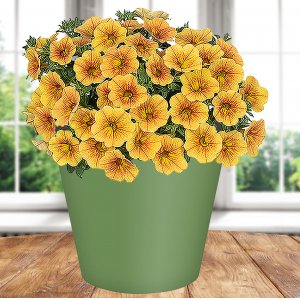 Горшок 221605418/01  Rosemary  1,6л  D160 мм, зеленый с дренажной вставкой (16)