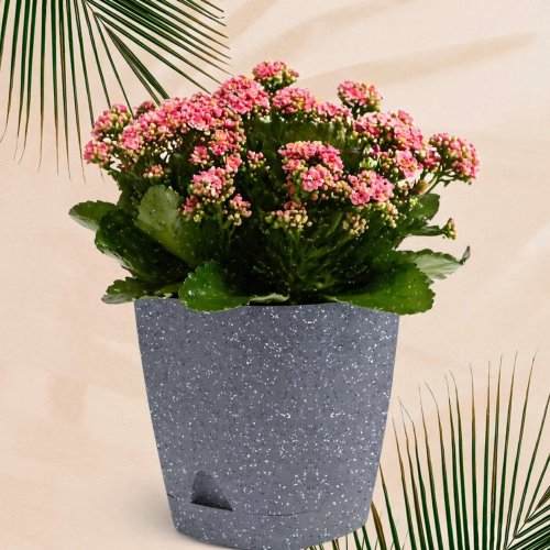 Горшок для цветов IG630010026  Amsterdam 2,5л, 17 см, тёмный камень  (12)