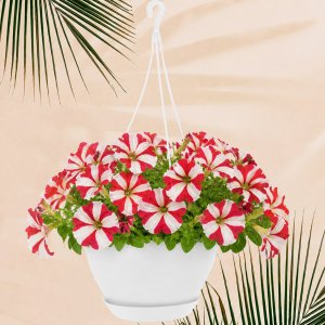 Горшок подвесной IG146110048 c фиксируемым поддоном InGreen Афина 1,5 л, белоснежный жасмин (16)