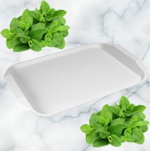 Поднос ПМ С48СЕР 30*43см (40)