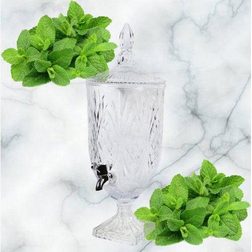 Лимонадник AZ2025-525 1706 (4)