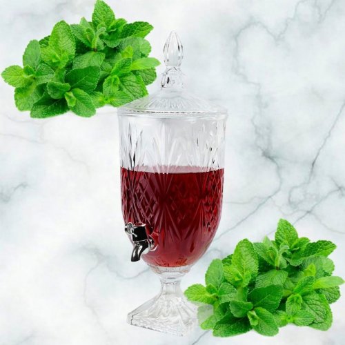 Лимонадник AZ2025-525 1706 (4)