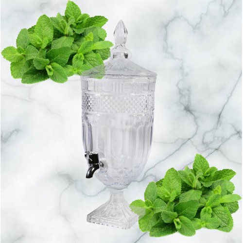 Лимонадник AZ2025-528 1707 (4)