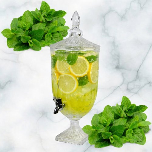 Лимонадник AZ2025-528 1707 (4)