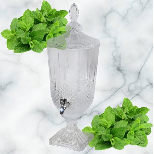 Лимонадник AZ2025-529 1805 (6)