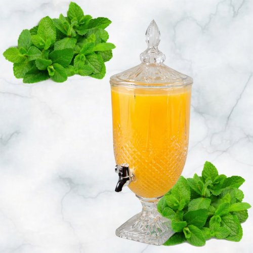 Лимонадник AZ2025-529 1805 (6)