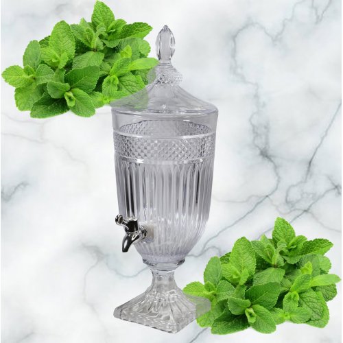 Лимонадник AZ2025-530 1802 (6)