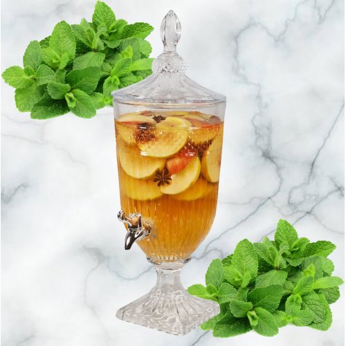 Лимонадник AZ2025-530 1802 (6)