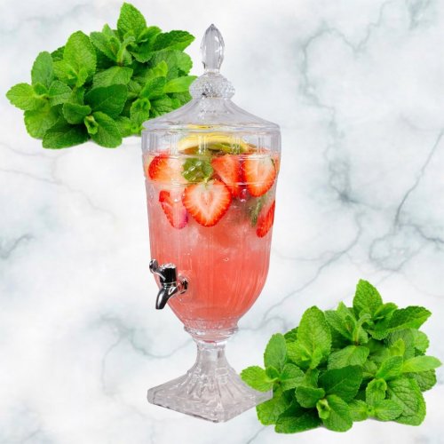 Лимонадник AZ2025-531 1804 (6)