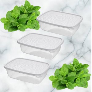 Набор контейнеров ПМ С858СЕР Романо 3шт 1.6л (12)