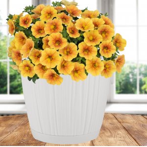 Горшок IG623110006 BARCELONA 6,5л, D240мм белый (6)