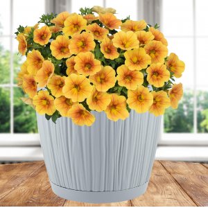 Горшок IG623110025 BARCELONA 6,5л, D240мм утренний туман (6)