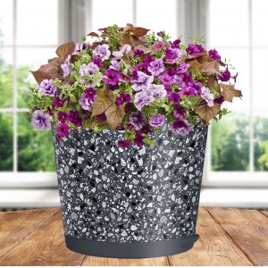 Горшок 221606935/01 Stone Flower 2л прикорн полив Д160 с декором серый (16)