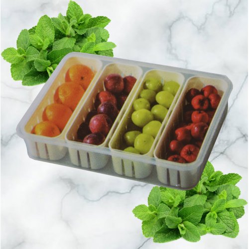Органайзер для продуктв AZ2024-1159 4-х секц.(24)