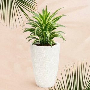 Кашпо д/цветов ПМ М8884 Флэйм белый 42,0л (вставка 10,0л ) (2)