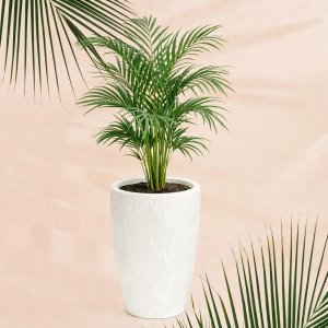 Кашпо д/цветов ПМ М8885 Флэйм белый  61,0л (вставка 13,0л ) (2)