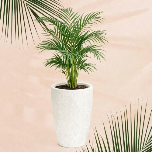 Кашпо д/цветов ПМ М8885 Флэйм белый  61,0л (вставка 13,0л ) (2)