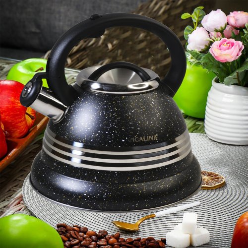 Чайник нжс AZ2024-1408 3.5л VL-6009 (12)