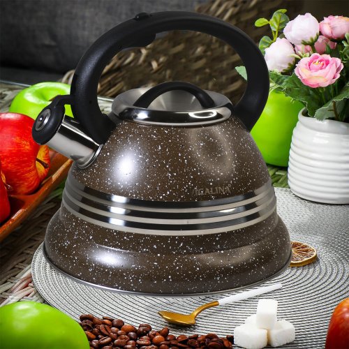 Чайник нжс AZ2024-1408 3.5л VL-6009 (12)