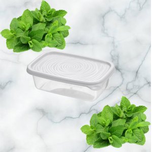 Контейнер ПМ С850СЕР  Романо 0.45л прямоугольный колор (36)