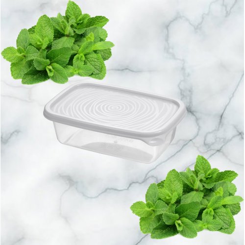 Контейнер ПМ С850СЕР  Романо 0.45л прямоугольный колор (36)