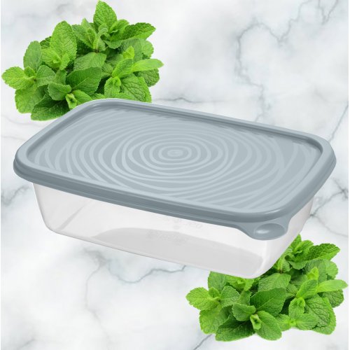 Контейнер ПМ С851СГОЛ Романо 0.9л прямоугольный колор (26)