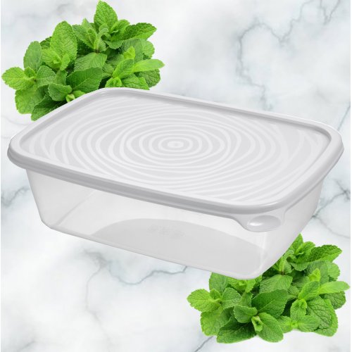 Контейнер ПМ С852СЕР Романо 1.6л прямоугольный колор (24)