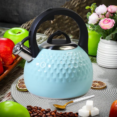 Чайник со СВ AZ2025-389  VL-9257  3.0л (12)