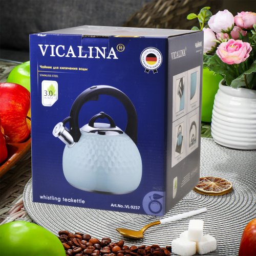 Чайник со СВ AZ2025-389  VL-9257  3.0л (12)