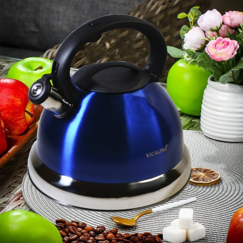 Чайник со СВ AZ2025-392  EB-608  5.0л (12)