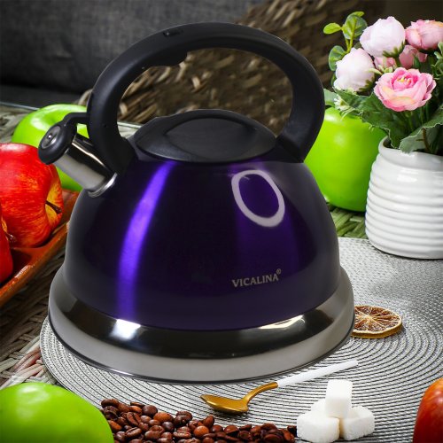 Чайник со СВ AZ2025-392  EB-608  5.0л (12)