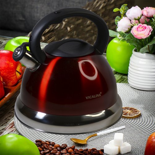 Чайник со СВ AZ2025-392  EB-608  5.0л (12)