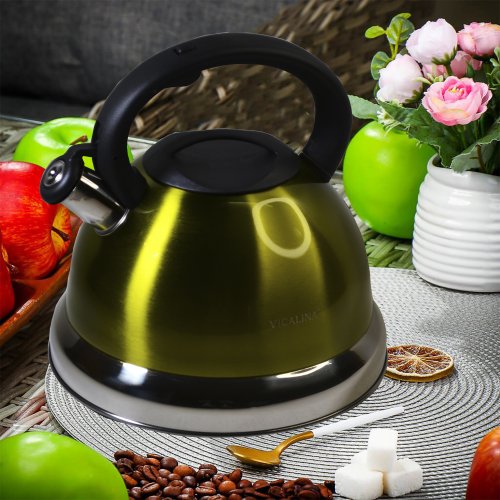 Чайник со СВ AZ2025-392  EB-608  5.0л (12)