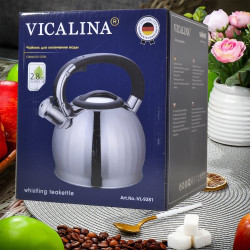 Чайник со СВ AZ2025-394  VL-9281  3.0л (12)