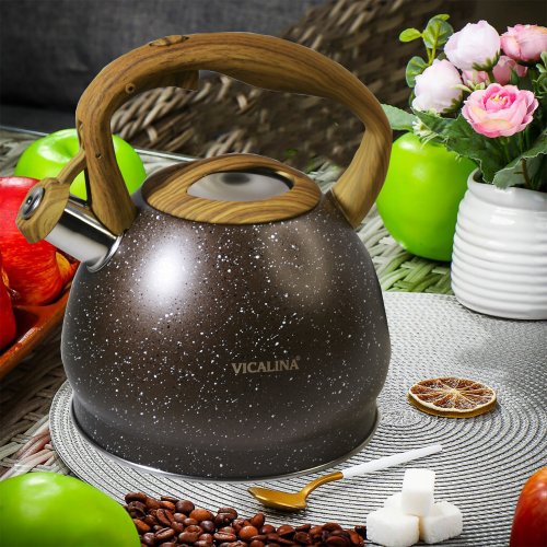 Чайник со СВ AZ2025-395  VL-9237  3.0л (12)