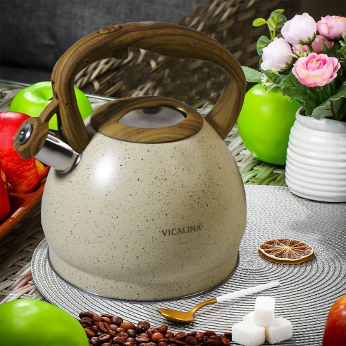 Чайник со СВ AZ2025-395  VL-9237  3.0л (12)